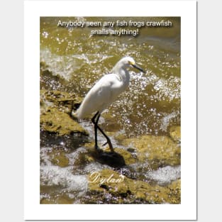 Egret searching for a meal Posters and Art